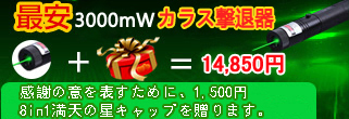 カラスレーザーポインター撃退3000mW