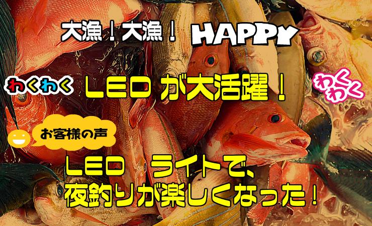 LEDミニ懐中電灯